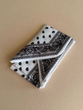 Paisley scarf M1593